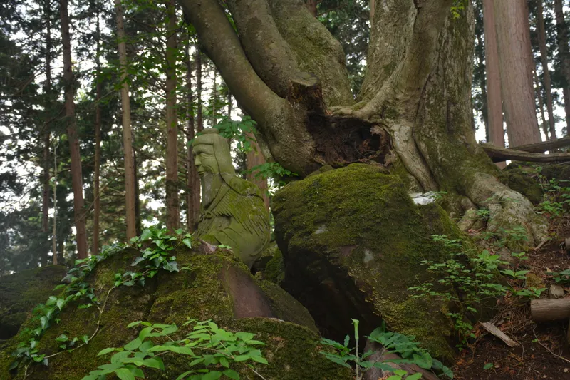 Ancient Temple, Japan