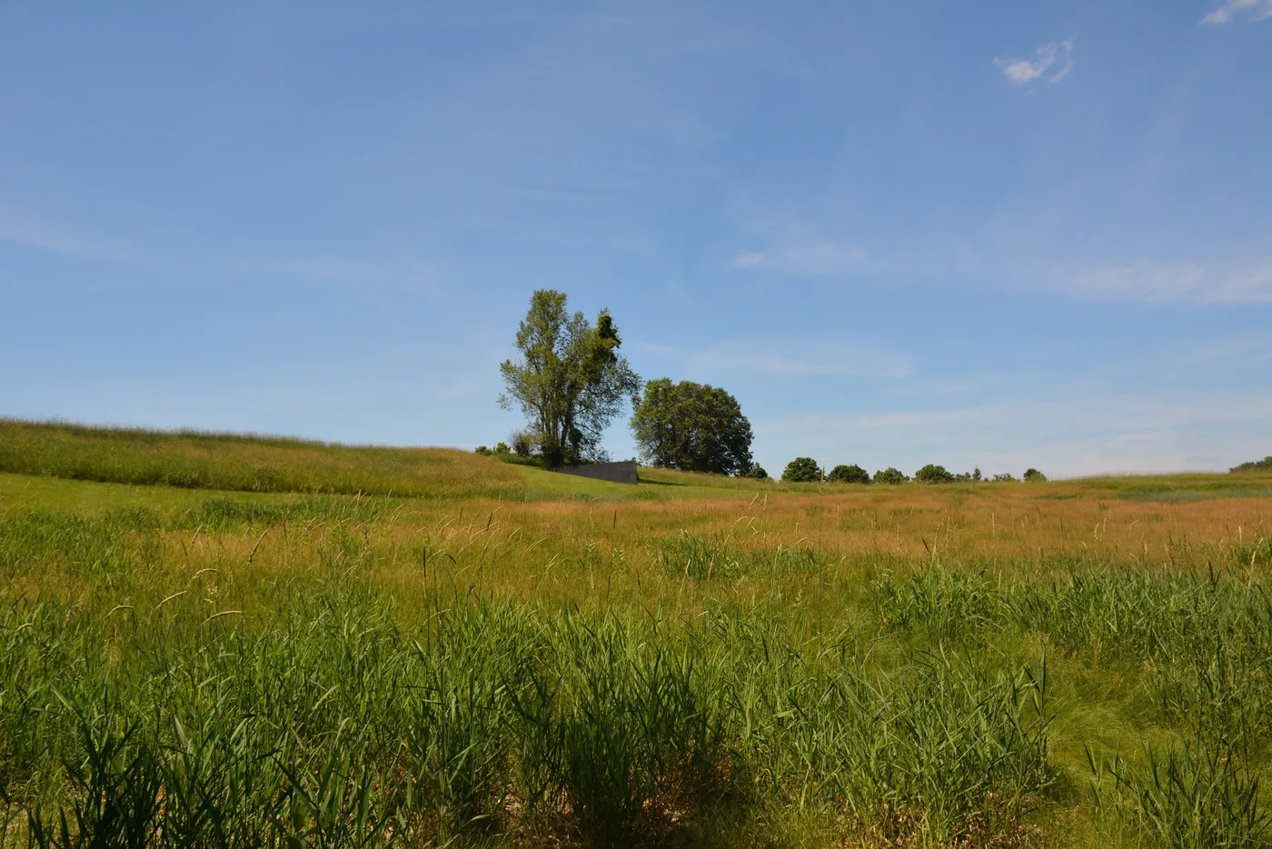 DSC_5629.jpg