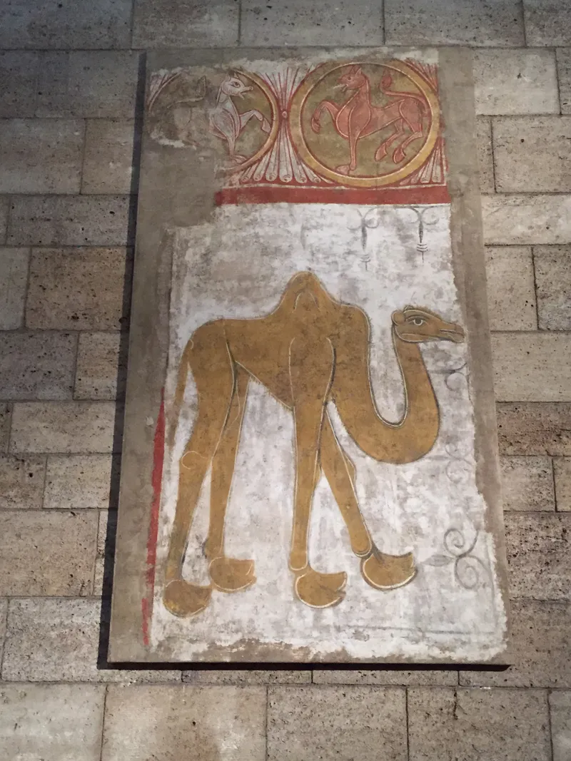 Camel Fresco