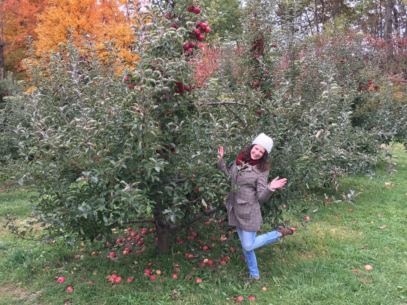 Erica and the Apple Tree
