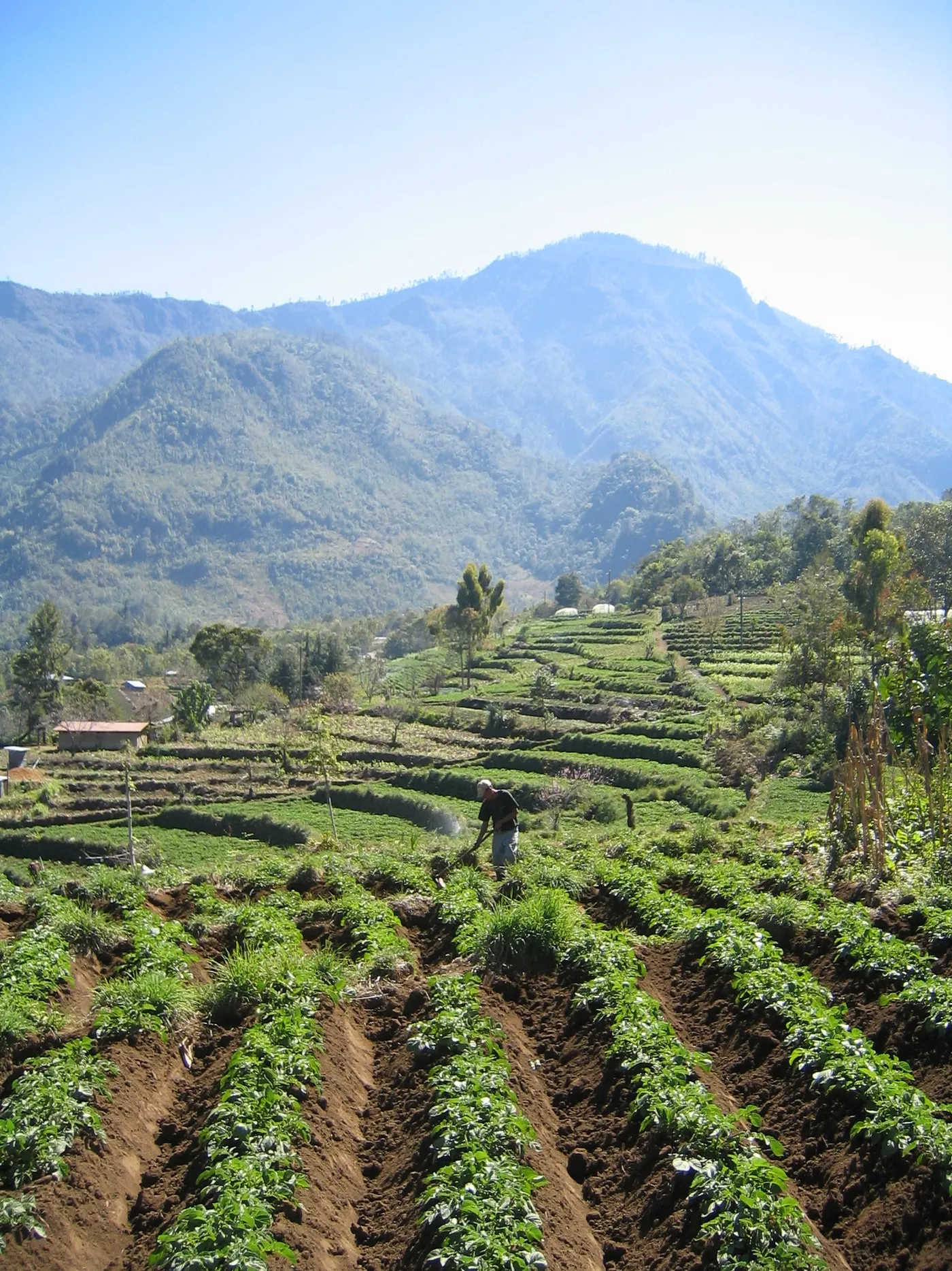 Terraces and Mountains