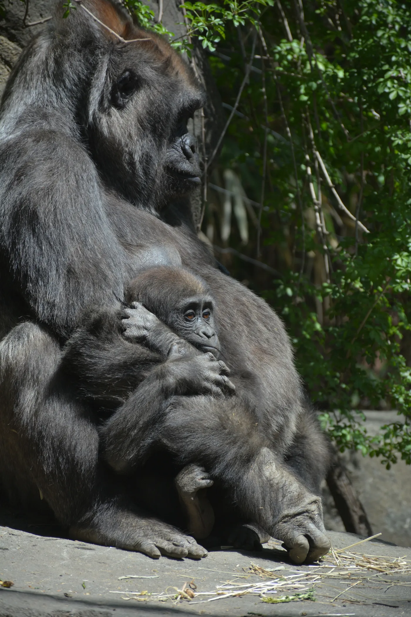 DSC_4961.jpg