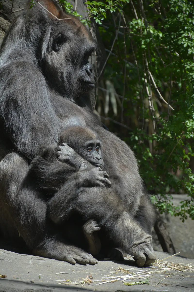 DSC_4961.jpg