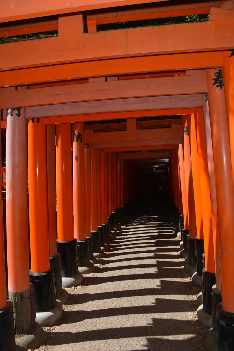 Torii Gates of Fushimi Inari Taisha