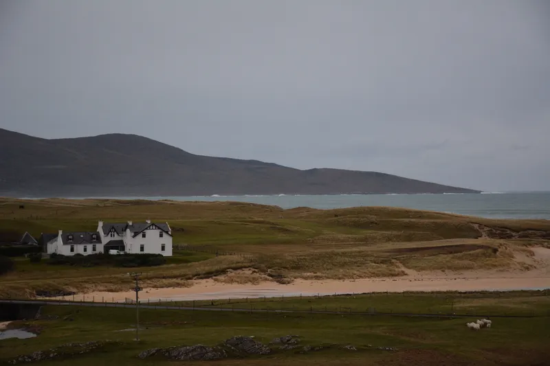 DSC_0124.jpg
