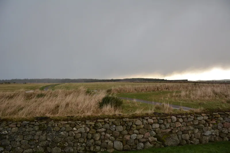 Culloden Moor.JPG