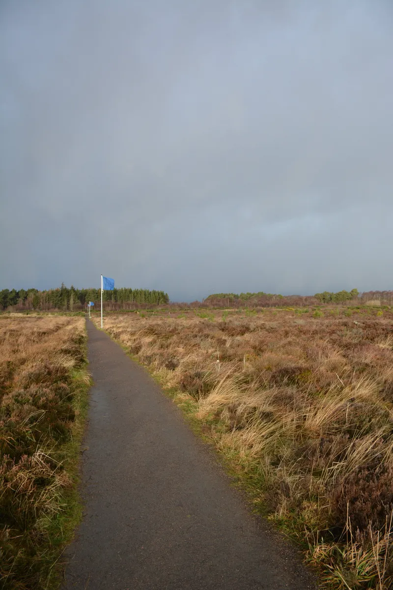 Culloden.JPG